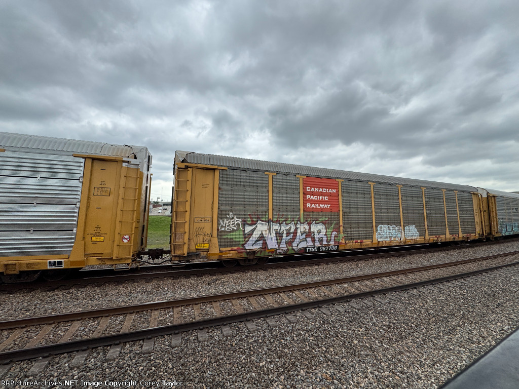 TTGX 987708